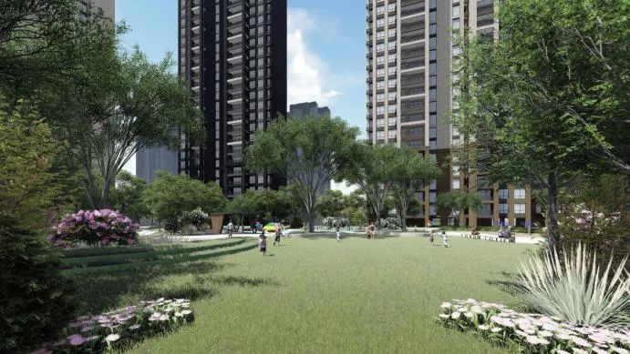 1684978132692159.jpg 10.jpg