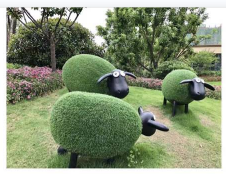 1684984958250760.png 8.png