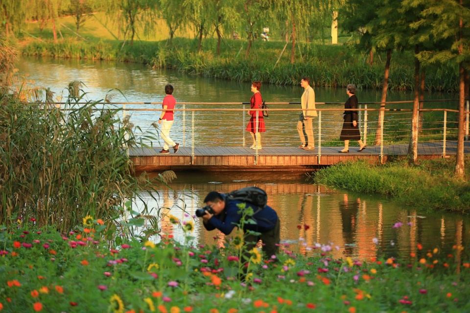 25Ningbo-Eastern-New-Town-Ecological-Corridor-Phase-III-by-Turenscape-960x640.jpg