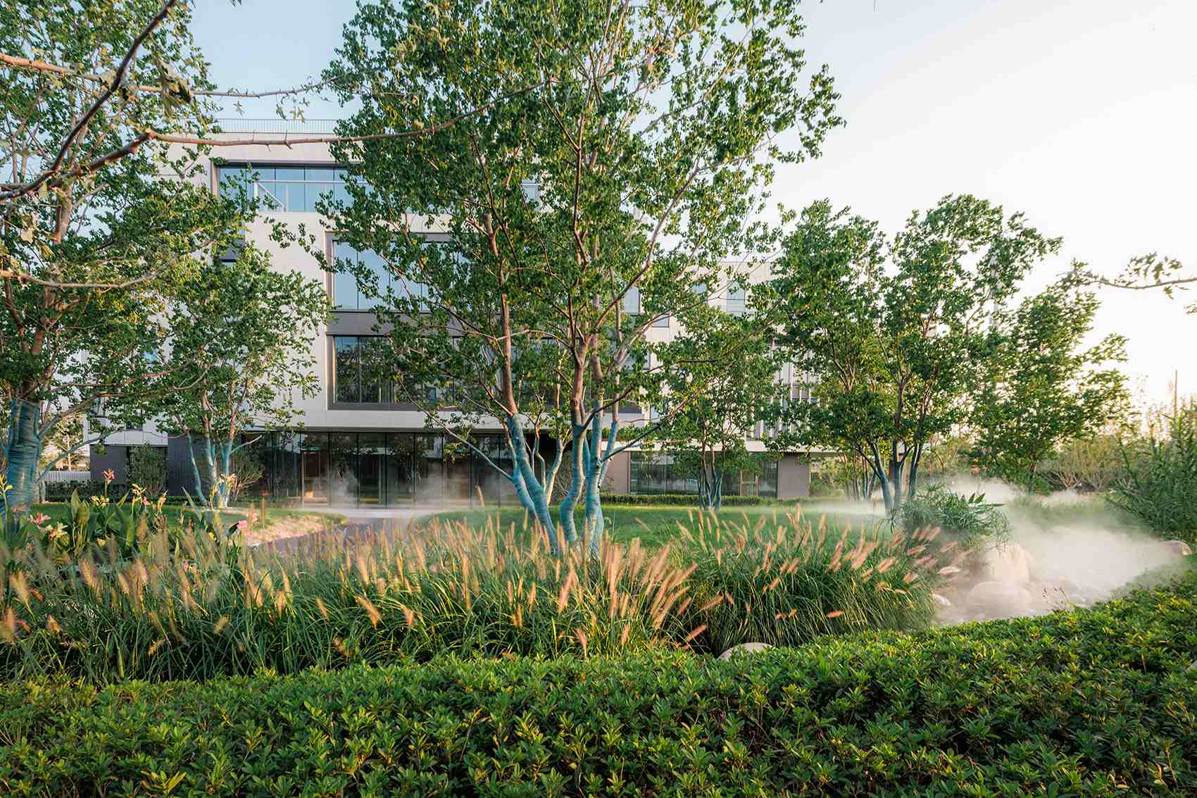 1708416231238795.jpg 5.jpg