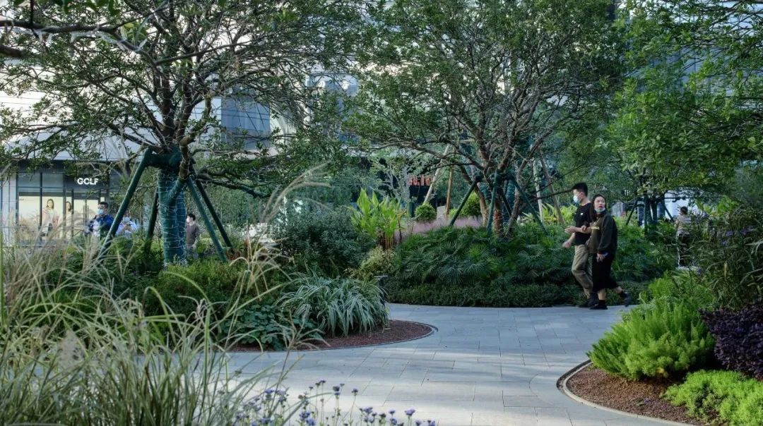 1708416840518621.jpg 微信图片_20240104155328.jpg